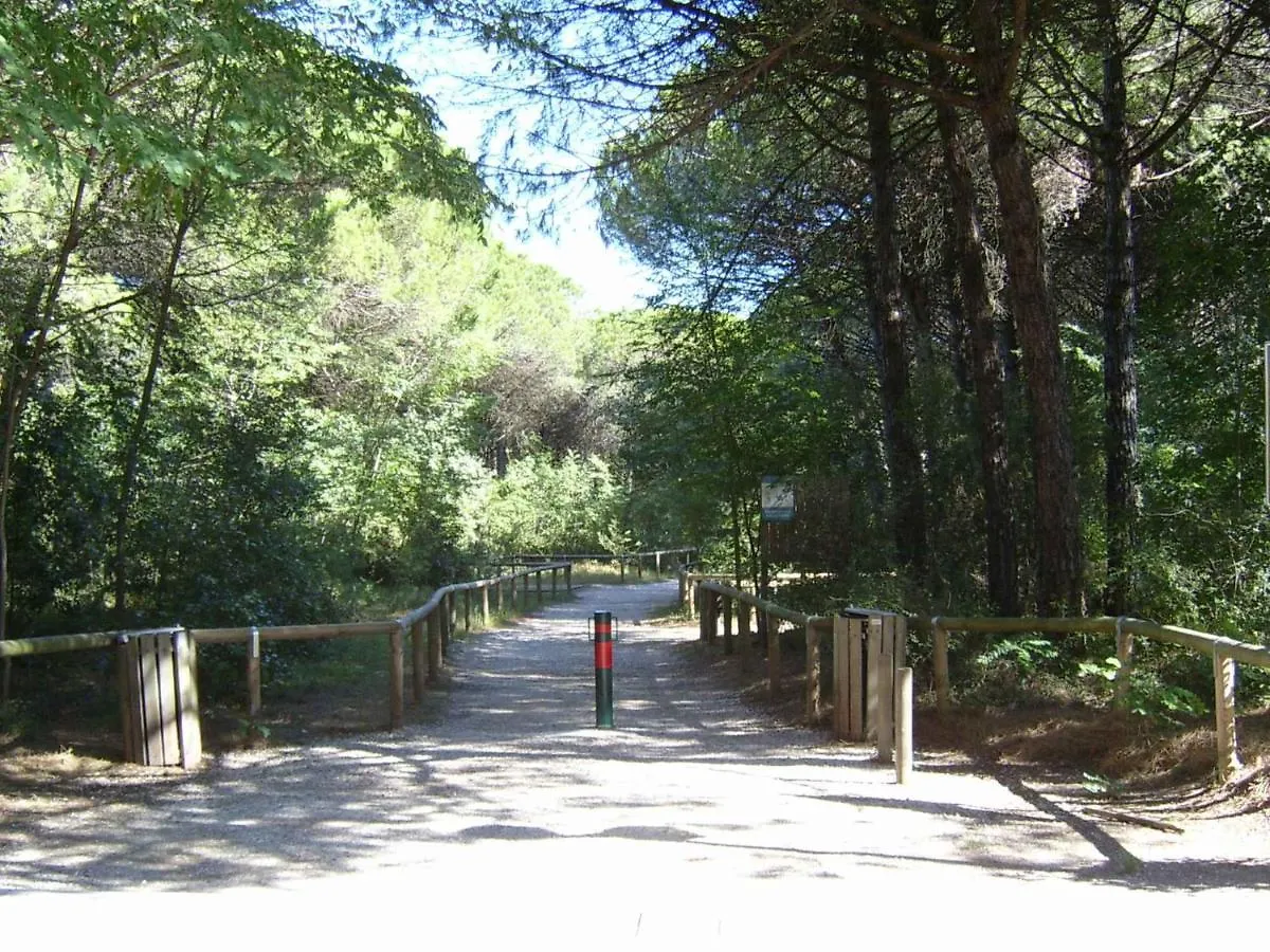 Apartments In Eraclea Mare 25611