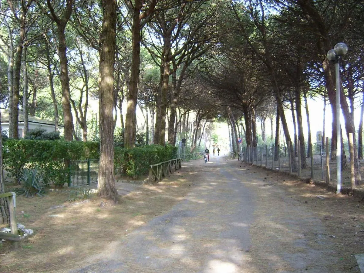 Apartments In Eraclea Mare 25611