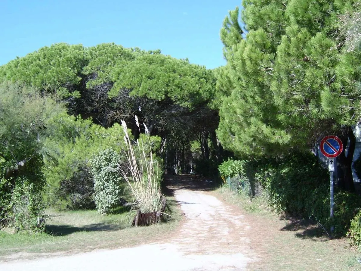 Apartments In Eraclea Mare 25611